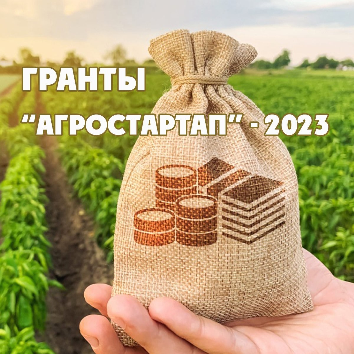 Агростартап-2023.