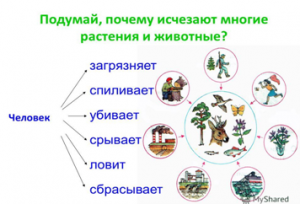 Экологическое просвещение.